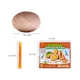 thumbnail image 3 of Archaeological Excavation Simulation Dinosaur Model Toy Children Science Education Dinosaur Egg Toy, 3 of 6