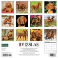 thumbnail image 2 of Just Vizslas 2024 12 X 12 Wall Calendar (Calendar), 2 of 4