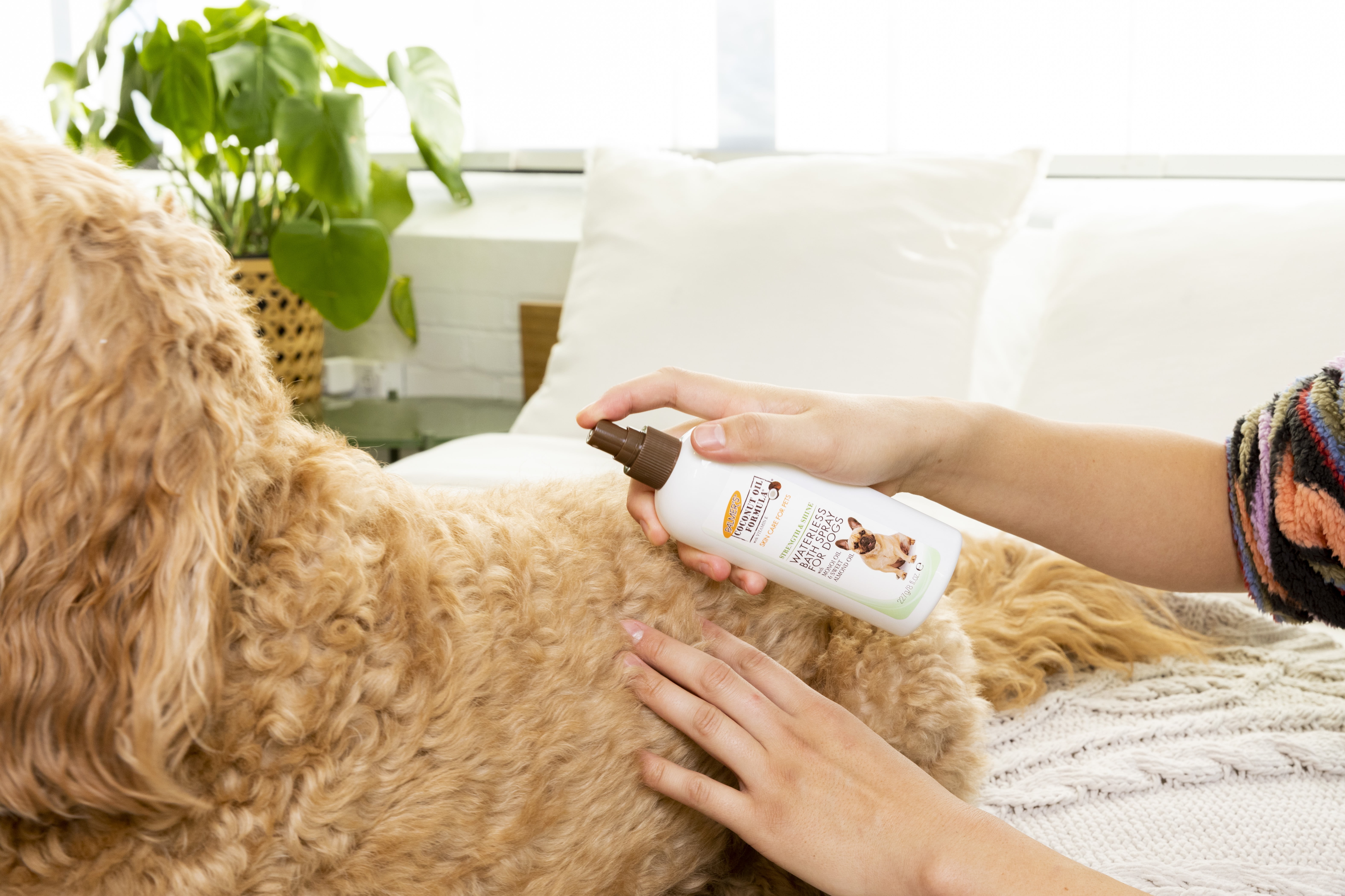 Palmer's For Pets Direct Relief Dog Lotion Spray for Dryness & Itchy Skin with Cocoa Butter 8 oz