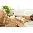 thumbnail image 6 of Palmer's For Pets Direct Relief Dog Lotion Spray for Dryness & Itchy Skin with Cocoa Butter 8 oz, 6 of 6