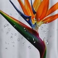 thumbnail image 5 of Orinice  Flower Shower Curtain,Strelitzia Tropical Paradise Orange Arrows Bird Bloom Botanical Shower Curtains for Bathroom with 12 Hooks 69x72, 5 of 7