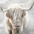 thumbnail image 2 of Delimont, Danita 26x26 Black Ornate Wood Framed with Double Matting Museum Art Print Titled - Soft Solo Highland, 2 of 4