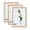 OAK-5x7-3PK, variant on 5x7-2PK Oak Picture Frames, Solid Wood Photo Display for Tabletop and Wall Hanging