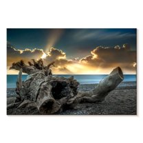 Elephant Stock Rhodes Island Driftwood Wall Art - Horizontal Canvas Wall Art - Living Room Wall Decor - Beach Canvas - Gray And Blue Decor - 30" x 20"