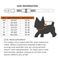 thumbnail image 3 of Mumup Dazzling Rhinestone Dog Collar with Soft Fabric and Crystal Bow Tie - Elegant and Glamorous Puppy Collars for Small Dogs with Leash, 3 of 6