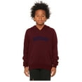 thumbnail image 2 of Daxton Youth Unisex Pullover Cities State Hoodie Mid-Weight Fleece Sweater - Pennsylvania Burgundy Navy, XL, 2 of 3