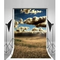 thumbnail image 3 of BSDHOME 5x7ft Photography Backdrop Nature Landscape Wheat Field Blue Sky White Cloud Ric Autumn Photo Background Backdrops, 3 of 4