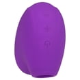 thumbnail image 5 of Mini Zip Discreet Waterproof Personal Clitoral Stimulator (Purple) by Better Love, 5 of 5