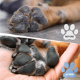 thumbnail image 2 of Wag Swagg  Dog Foot Washer | Muddy Paws Cleaner | Vegan | Waterless Shampoo | Gentle, Fragrance-Free, and pH Balanced | 6.8fl oz. Bottle with Silicone Brush, 2 of 7
