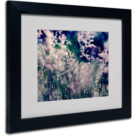 Trademark Fine Art "Sweet Emotions" Framed Canvas Art by Beata Czyzowska Young