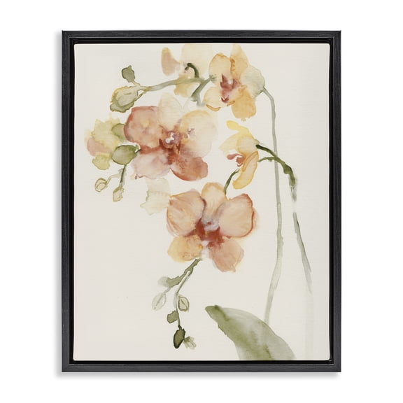 Stupell Industries Transitional Peach Orchid in Bloom Black Floating Frame Canvas Art, 17 x 21, by Victoria Barnes