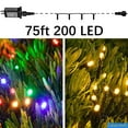 Premier Outdoor Christmas Lights, Outdoor Christmas Tree