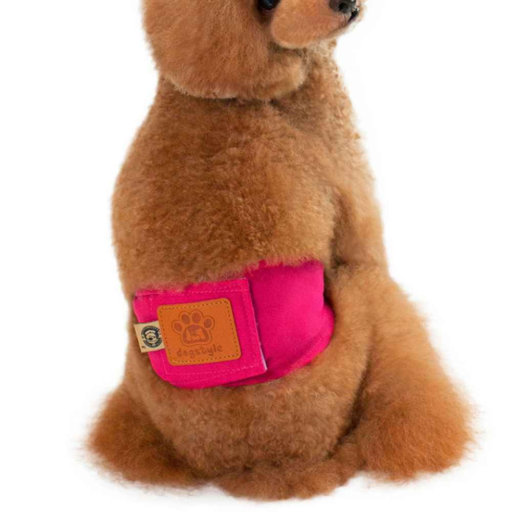 dog belly band walmart