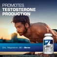 thumbnail image 3 of GAT Sport Essentials ZMAG-T Zinc, Magnesium, B6 + Boron, 90 Veg Capsules, 3 of 5