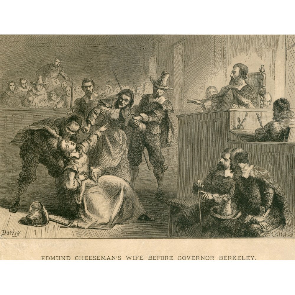 Bacon'S Rebellion History (24 x 18)