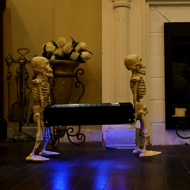 Zombie Unicorn Skeleton in Coffin Treat Bag Insert – Kudzu Monster