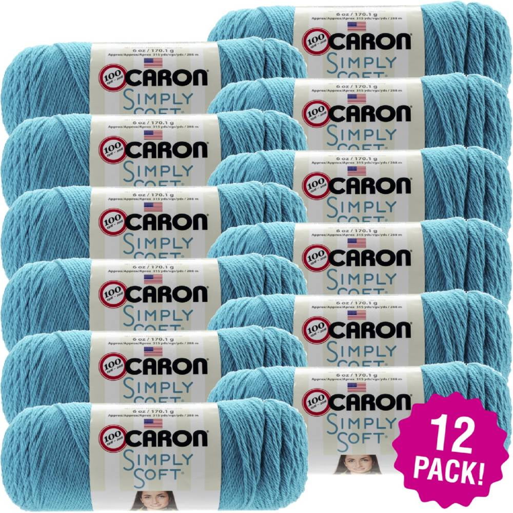 Caron Simply Soft Solids Yarn 12/PkBlue Mint
