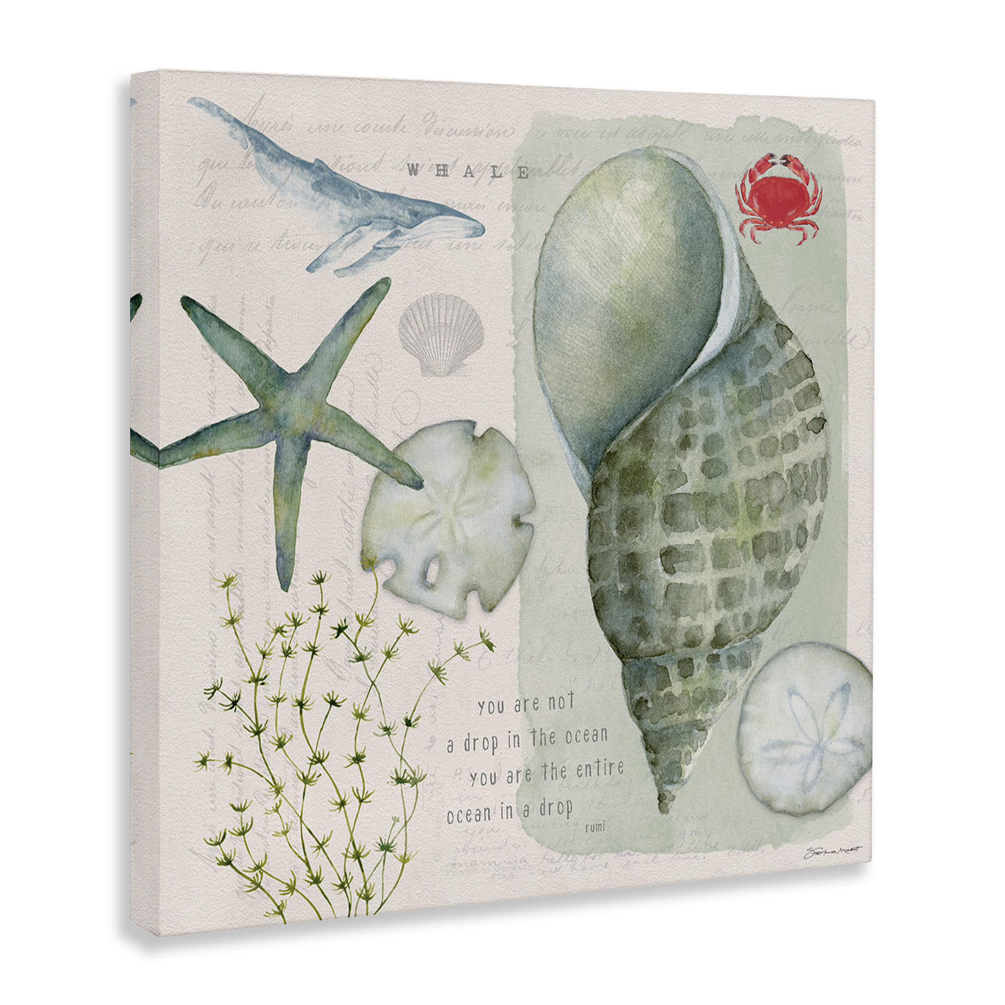 Stupell Industries Sea Shell Inspirational Collage Inspirational Painting Gallery Wrapped Canvas Art Print Wall Art, 36 x 36
