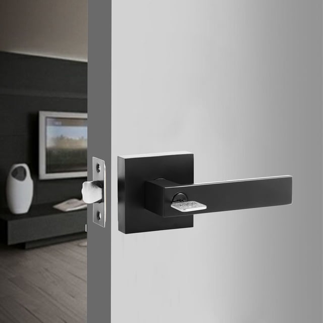 Grusce Poignée de Porte d'Entrée Extérieure, Boutons de Porte Réversibles avec 3 Clés, Levier de Porte d'Entrée en Alliage de Zinc, Poignée de Porte de Garde-Robe Noir Mat, Poignée de Porte d'Intimité Intérieure pour Chambre, Bureaux, Pièces