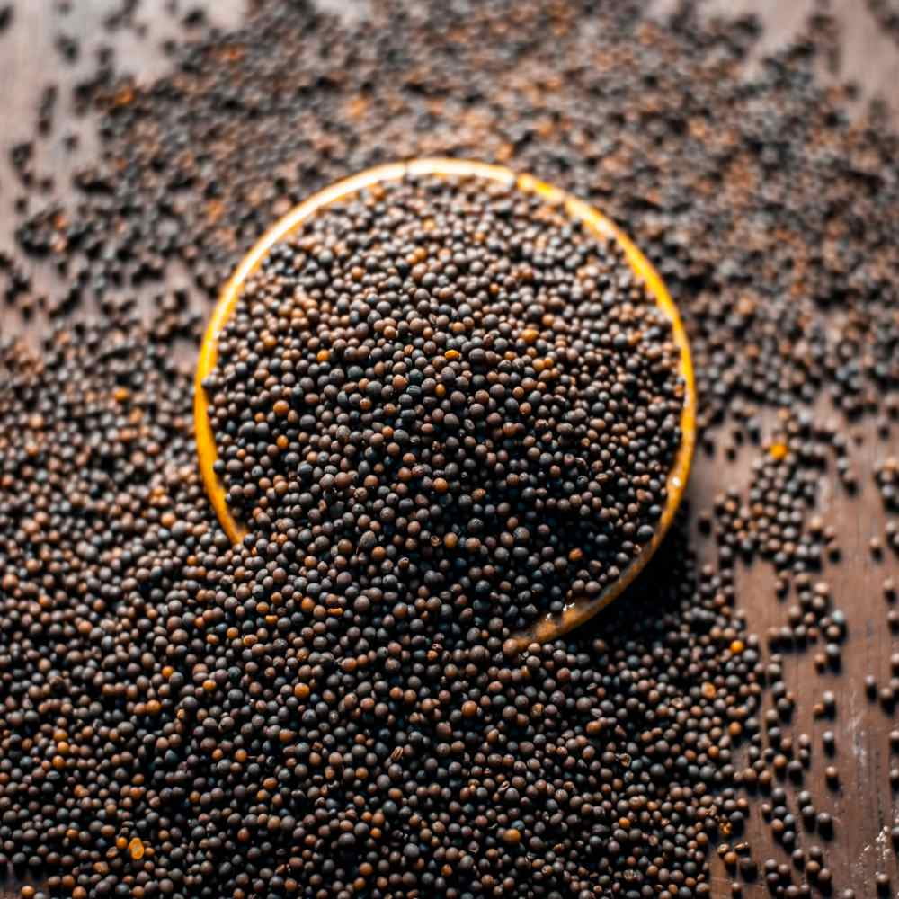 Black Mustard Seeds For Planting Indoors or Outdoors - 5 LB