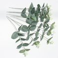 thumbnail image 1 of 10 ramos de hojas de eucalipto artificiales, plantas de eucalipto artificiales, ramos de hojas de eucalipto artificiales de dólar de plata para fiestas, bodas, decoración del hogar JM, 1 of 5