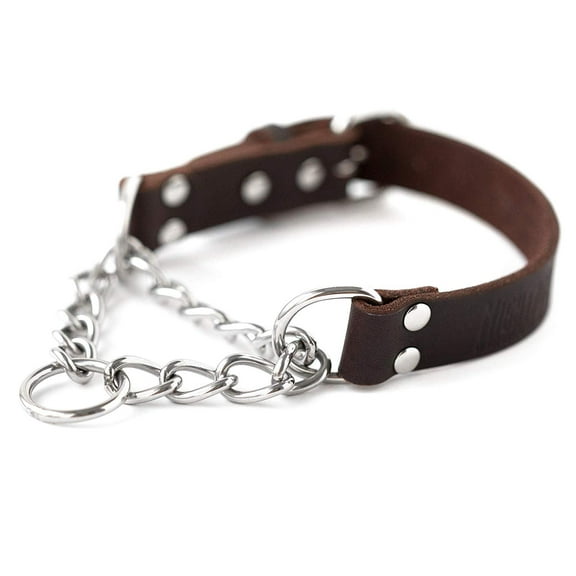 Mighty Paw Leather Dog Training Collar, Martingale Dog Collar with Stainless Steel Chain, Medium