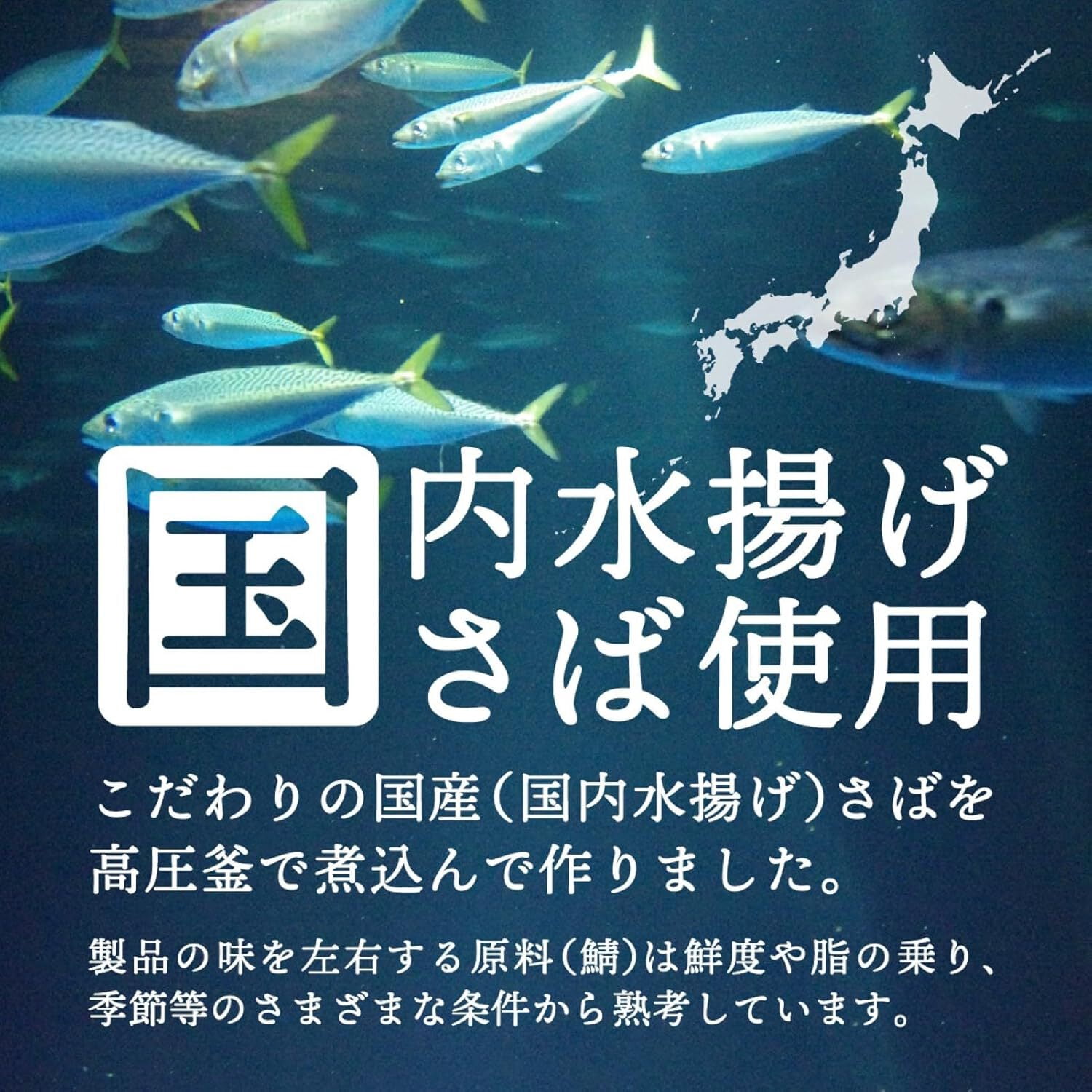 TOMINAGA Saba no Mizuni Mackerel in Water Canned DHA  EPA JAPAN 150g × 6 Cans - Tokyo Sakura Mall