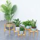 thumbnail image 2 of Irfora Soporte de plantas Jardín de flores Planta en maceta Estante de madera de bambú Estante de siembra de interior al aire libre Oficina en casa Deco Soporte de flores simple Grande Irfora Estante, 2 of 7
