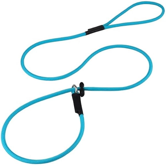 Eryueer Slip Lead Dog Leash – 5/16 Inch Nylon Rope No Pull Training Leash with Stopper, Slip Rope for Walking & Correction, 4FT/5FT/6FT Control Lead for Medium Large Dogs (Sky Blue, 5 FT)