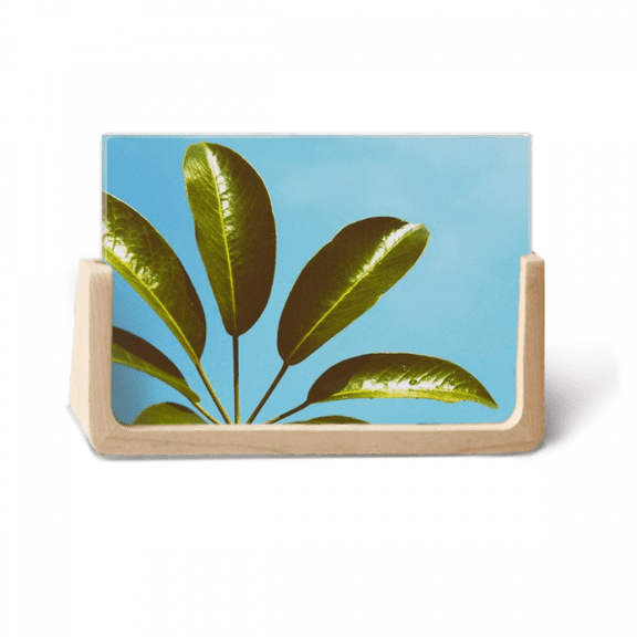 Blue Sky Picture Nature Photo Wooden Photo Frame Tabletop Display