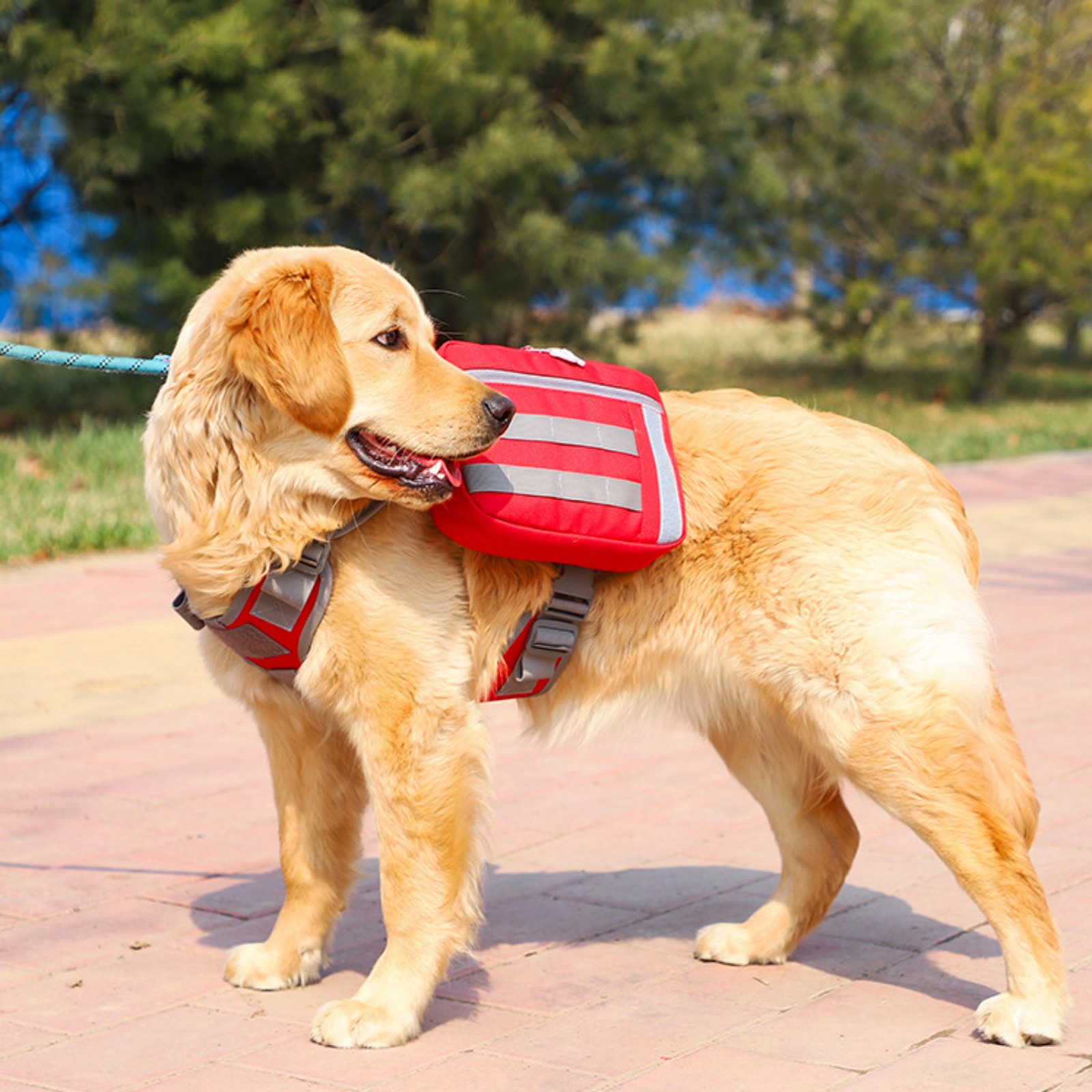 Jaucin Outdoor Dog Hiking Backpack Large Dog Hiking Backpack 2 in 1 Dog Saddle Bag Adjustable Straps Large Capacity Breathable and Waterproof Fabric