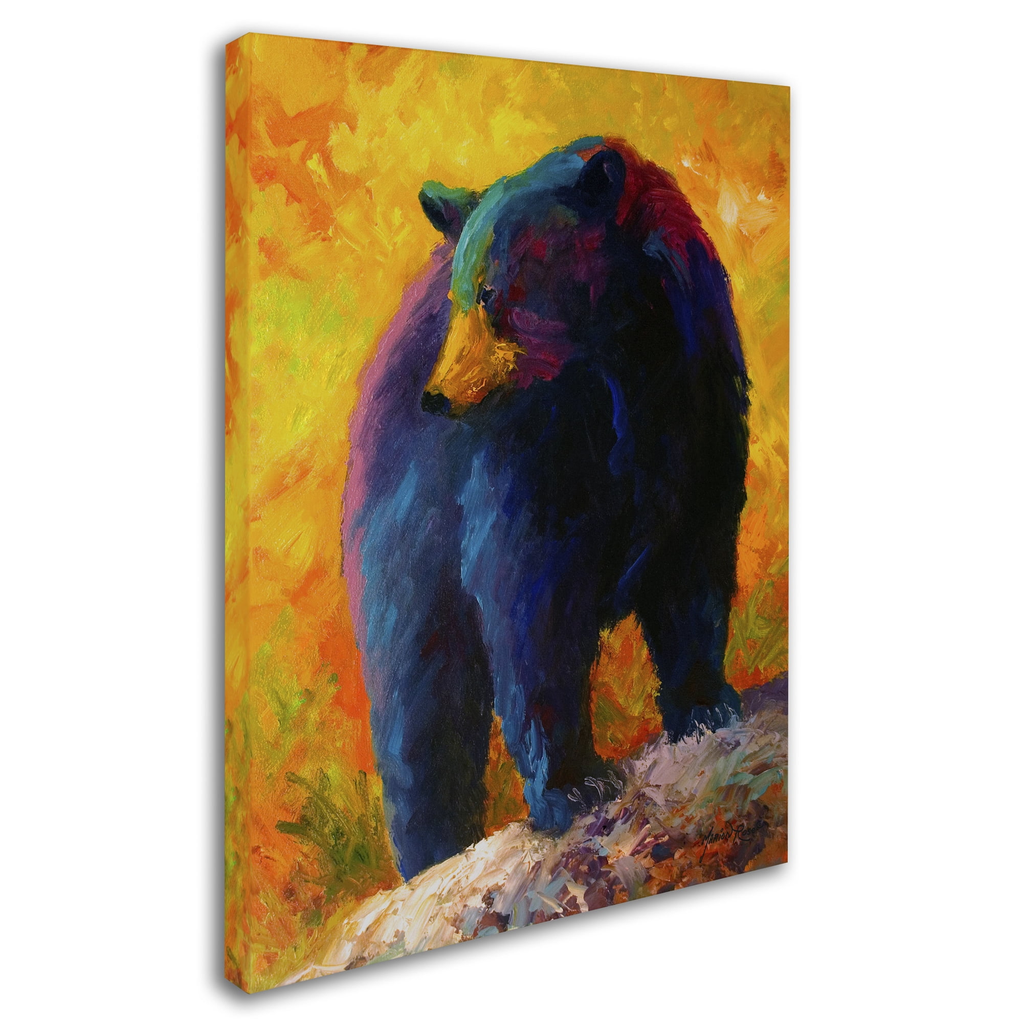 Trademark Fine Art 'Checking Smorg' Canvas Art by Marion Rose