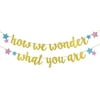 How We Wonder What Your are Glitter Banner Pre-Strung for Twinkle Twinkle Little Star Gender Reveal Party Decorations