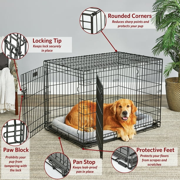 MidWest Homes for Pets 42-inch LifeStages Crate for Large Breeds