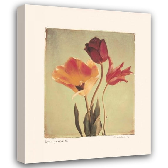 Amy Melious 36x44 Gallery Wrapped Canvas Wall Art Titled - Spring Color III