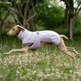 thumbnail image 3 of HQREA Greyhound Dog Coat Winter Whippet Jacket Warm Fleece Pet Vest Coat for Large Dogs, 3 of 6