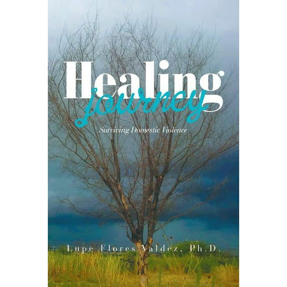 Healing Journey: Surviving Domestic Violence (Paperback)