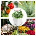 thumbnail image 6 of 10 Pack Nursery Pots White 1 Gallon Garden Planter Plastic Square Seedling Pots White Flower Plant Container for Succulents, Seedlings, Cuttings, Transplanting, 6 of 8
