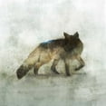 thumbnail image 2 of Roko, Ken 15x15 White Modern Wood Framed Museum Art Print Titled - Fabulous Fox, 2 of 4