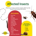 thumbnail image 4 of St. Gabriel Organics Insect Dust Diatomaceous Earth for Indoor and Outdoor Insect Control, 4lbs, 4 of 6