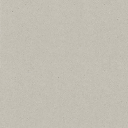 UPC: 0846523031813 | Bazzill Chipboard Sheets 12 X12 -Natural