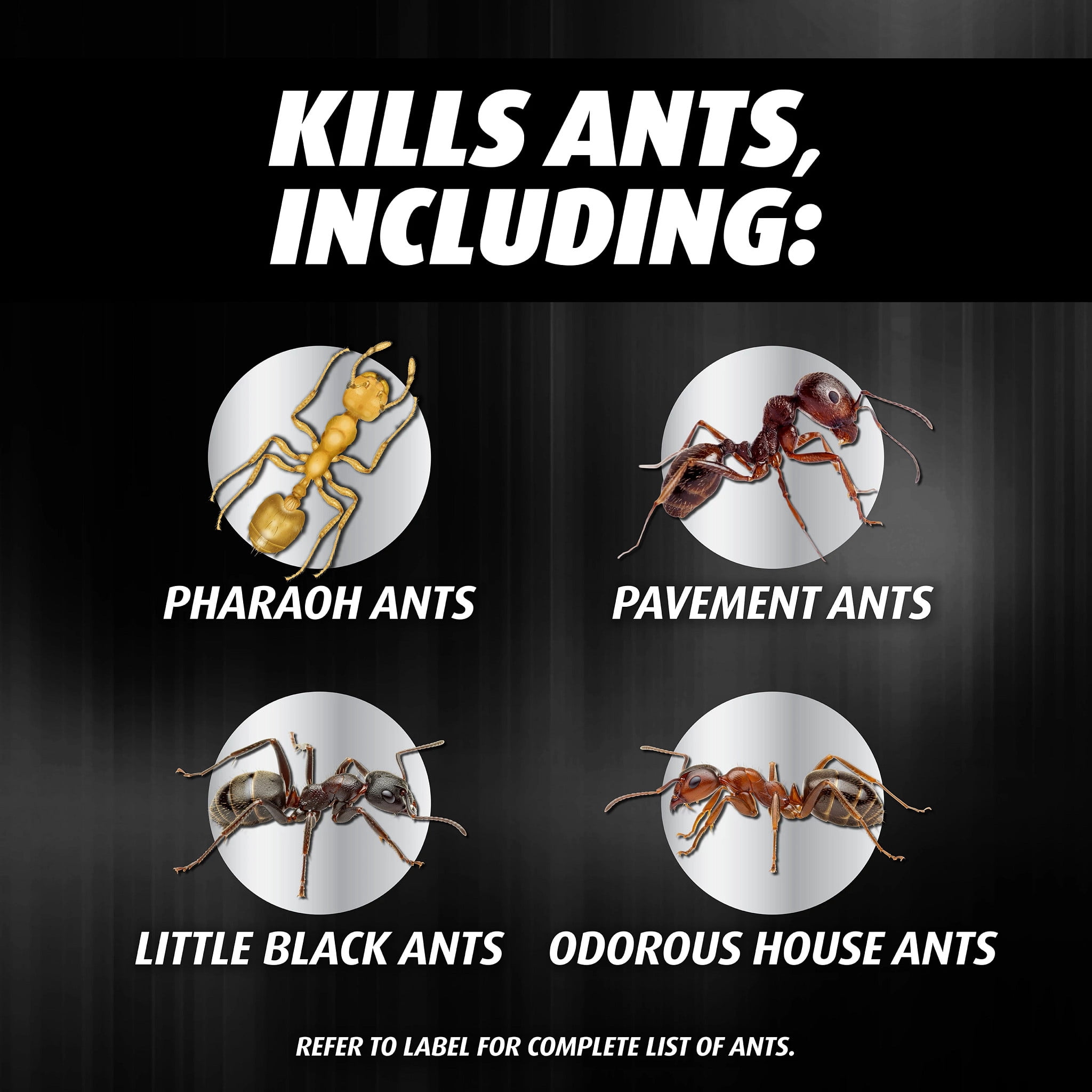 Ortho Orthene Ant Killer Ant Bait, Kills the Queen and the Colony, 8 Stations