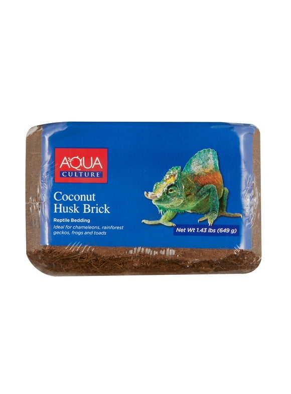 Reptile Supplies in Reptiles