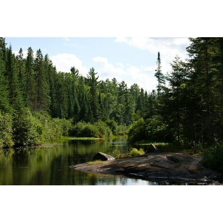 Canvas Print Ontario Algonquin Provincial Park Madawaska River Stretched Canvas 10 x