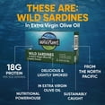 thumbnail image 3 of Wild Planet Wild Caught Sardines in Extra Virgin Olive Oil, Lightly Smoked, 4.4 oz Can, 3 of 8