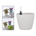 thumbnail image 1 of automática Riego automático con dispositivo de agua de jardinería s decorativas para jardín al aire libre Suculentas para Blanco Baoblaze Maceta autorriego, 1 of 8
