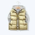 thumbnail image 2 of ANINEO Baby Boys Girls Puffer Vest Winter Warm Lightweight Toddler Vest Outerwear High Neck Cute Sleeveless Jacket, 2 of 4