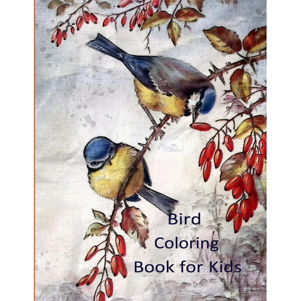 Download Bird Coloring Book For Kids Bird Coloring Book For Toddlers Nature Coloring Pages Of Birds For Kids Coloring Books For Preschoolers Boys Girls Ages 2 4 4 6 6 8 8 10 10 12 Paperback Walmart Com Walmart Com