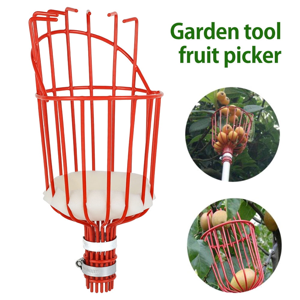 Orange Fruit Picker Basket Tree Fruits Picking Harvesting Tool with Cushion to Prevent Bruising Gardening Supplies Metal
