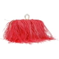thumbnail image 2 of LinYooLi Women Feather Clutch Purse Shoulder Crossbody Bag Evening Handbags, 2 of 9